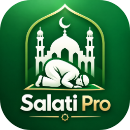 Icône de Salati Pro